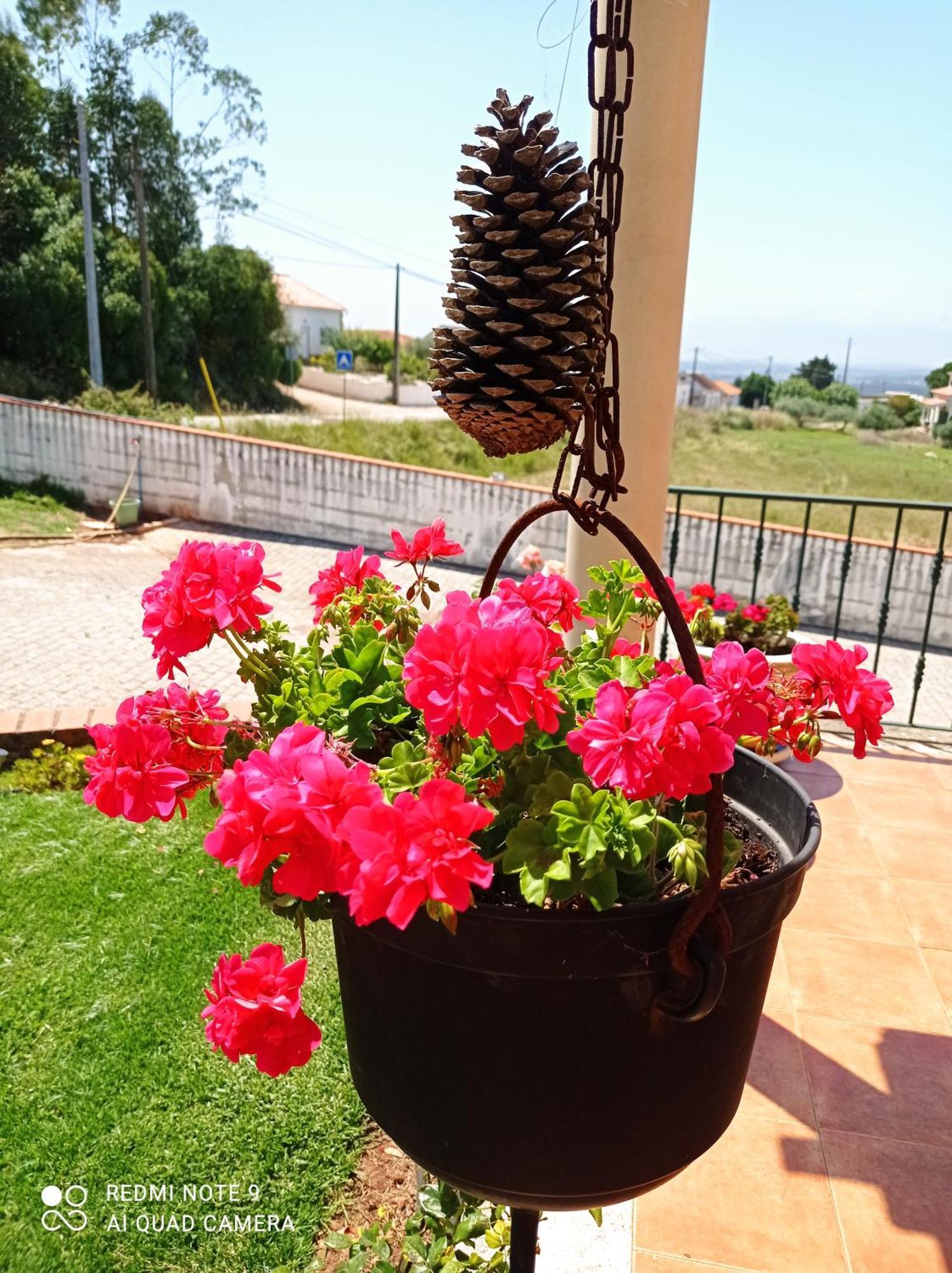 Bed and Breakfast Chez Sylvie Et Alain Lamas Esterno foto